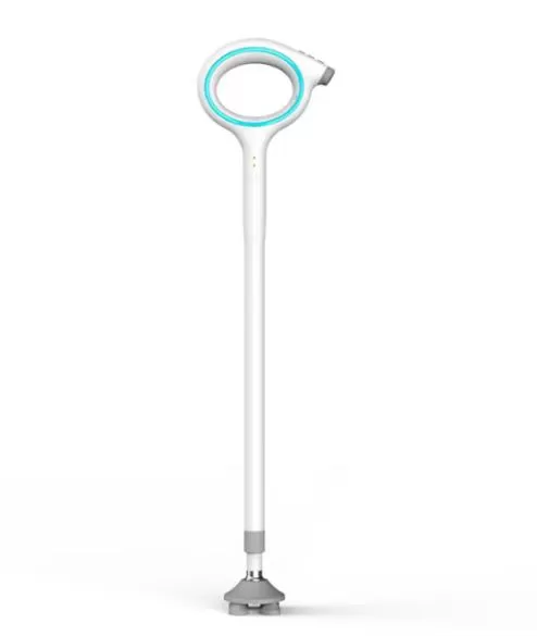 Enhancing-Mobility-and-Safety-Smart-Cane-for-Elderly.jpg