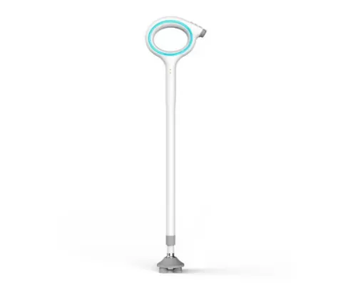 Enhancing Mobility and Safety: The Smart Cane for Elderly