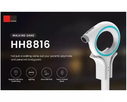 The Role of Smart Walking Sticks in Empowering the Visually Impaired